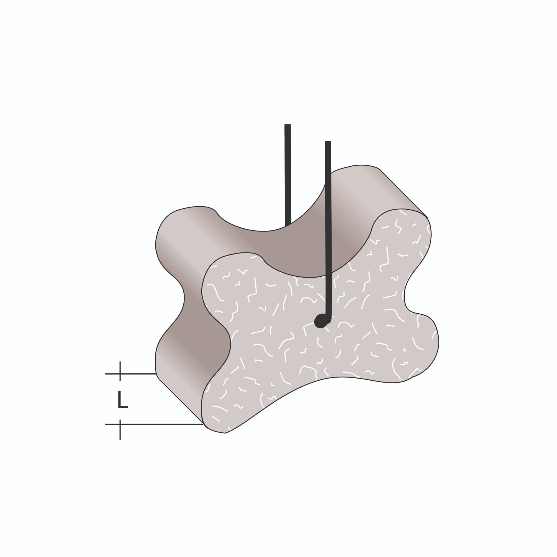 Bipo bone mD with wire